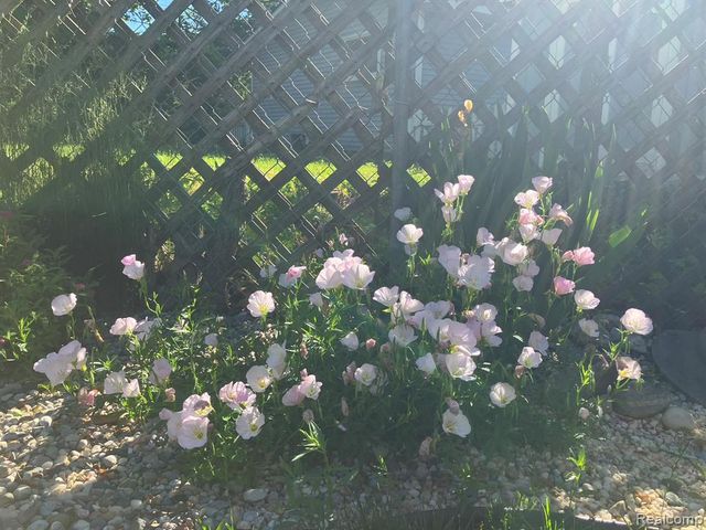 276 Bramble Brae Street, White Lake, MI 48386