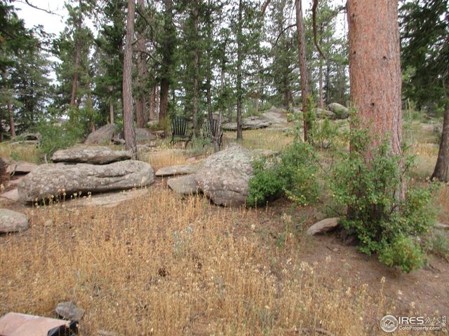 58 Aspen Ln, Red Feather Lakes, CO 80545