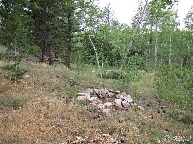 58 Aspen Ln, Red Feather Lakes, CO 80545