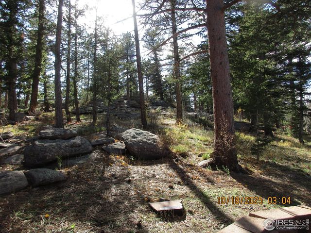 58 Aspen Ln, Red Feather Lakes, CO 80545