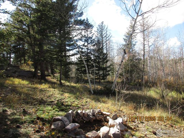 58 Aspen Ln, Red Feather Lakes, CO 80545