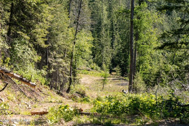 NKA 60-AC Eichs Rd, Cocolalla, ID 83813