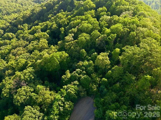 00 Ragans Pointe Pointe 58, Columbus, NC 28722