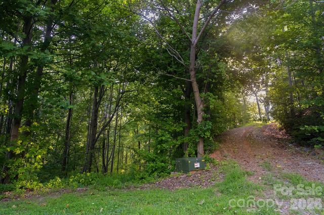 00 Ragans Pointe Pointe 58, Columbus, NC 28722