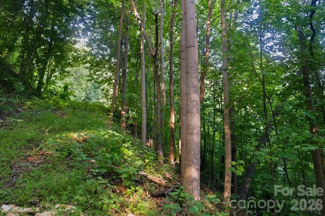 00 Ragans Pointe Pointe 58, Columbus, NC 28722