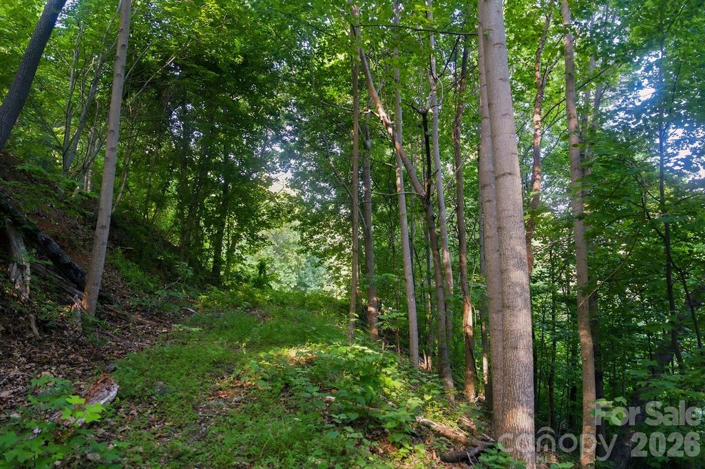 00 Ragans Pointe Pointe 58, Columbus, NC 28722