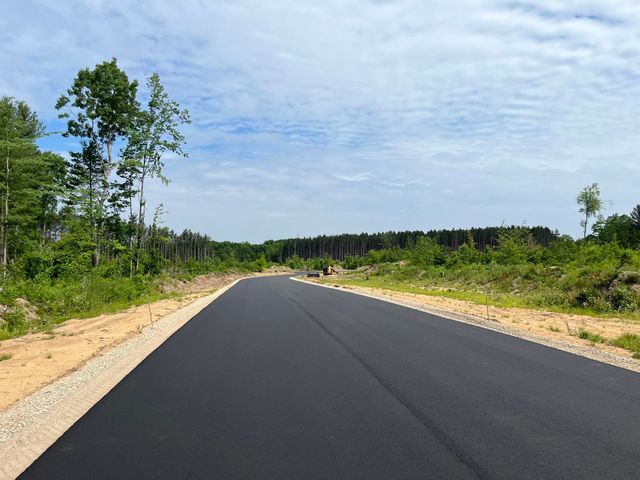 parcel A Hoosier Flats Road, Blair Twp, MI 49685