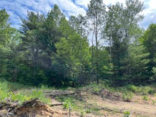 parcel A Hoosier Flats Road, Blair Twp, MI 49685