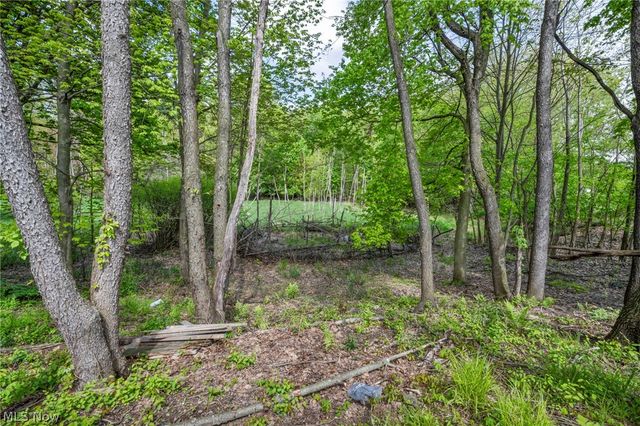 1103 Adrian Avenue, Kent, OH 44240