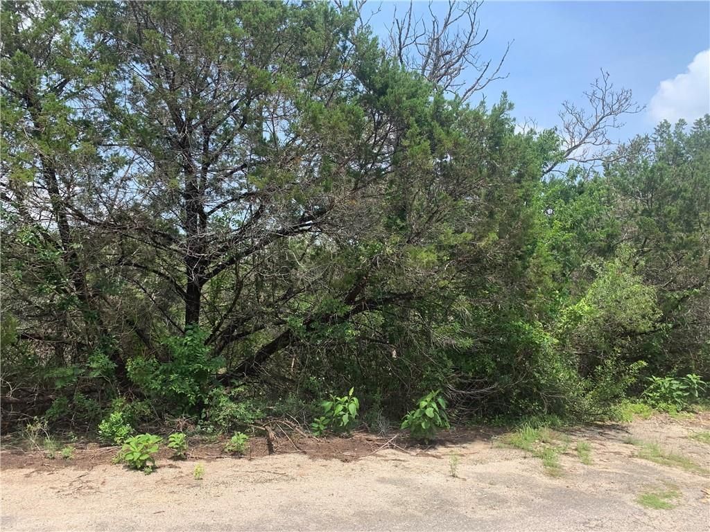 20608 Tejas TRL, Leander, TX 78645