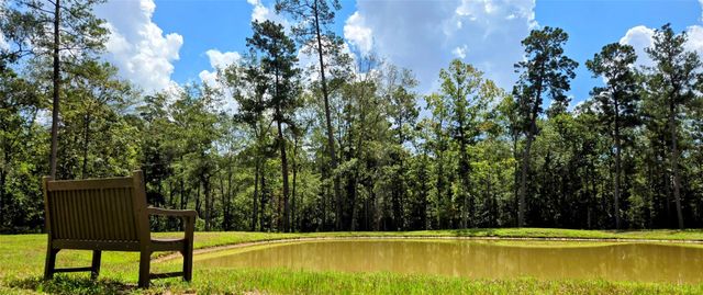 94 Coyote Run, Willis, TX 77378