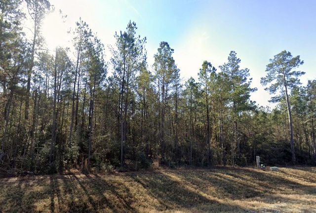 94 Coyote Run, Willis, TX 77378