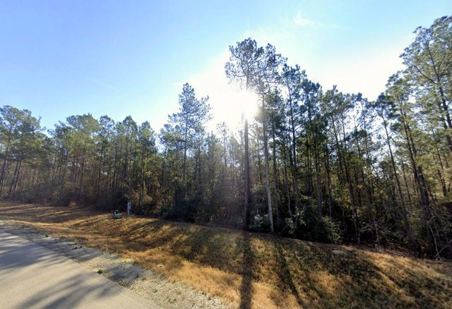 94 Coyote Run, Willis, TX 77378