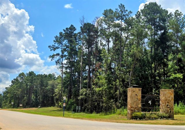 94 Coyote Run, Willis, TX 77378