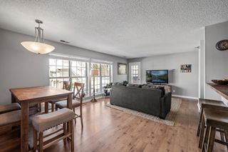6020 Chasewood Parkway 203, Hopkins, MN 55343