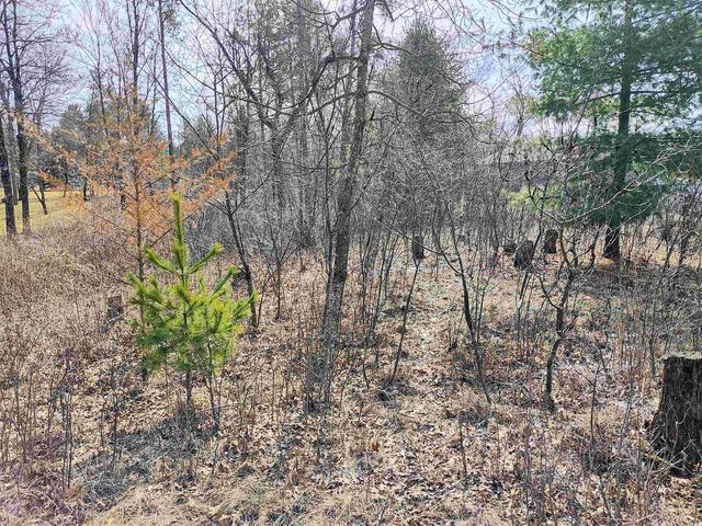 456 Tomahawk Trail, Nekoosa, WI 54457