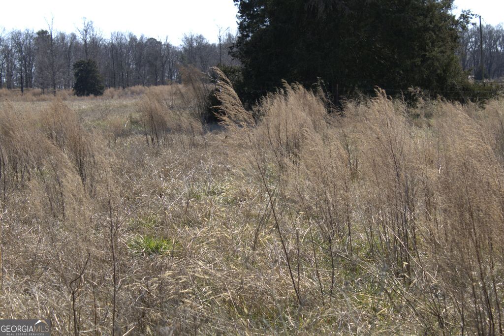 0 Nancy Hart School Road, Hartwell, GA 30643 — photo 2