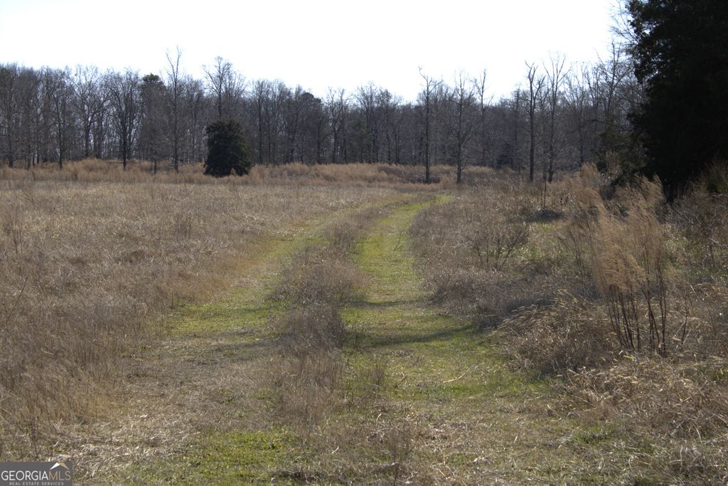 0 Nancy Hart School Road, Hartwell, GA 30643 — photo 3