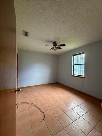 1302 Sago Palm Street, Alamo, TX 78516