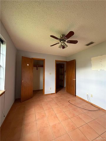 1302 Sago Palm Street, Alamo, TX 78516