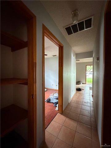 1302 Sago Palm Street, Alamo, TX 78516