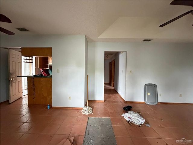 1302 Sago Palm Street, Alamo, TX 78516