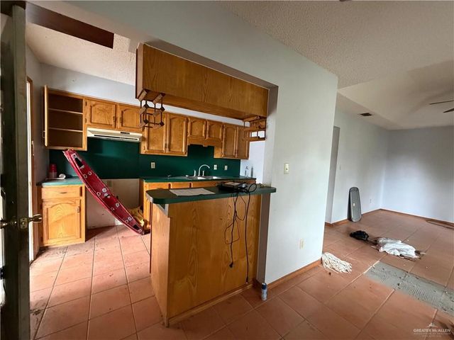 1302 Sago Palm Street, Alamo, TX 78516