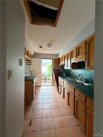 1302 Sago Palm Street, Alamo, TX 78516