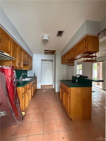 1302 Sago Palm Street, Alamo, TX 78516