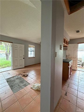 1302 Sago Palm Street, Alamo, TX 78516