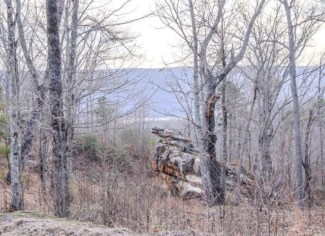0 River View Court Lot 141, Jasper, TN 37347