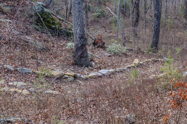 0 River View Court Lot 141, Jasper, TN 37347