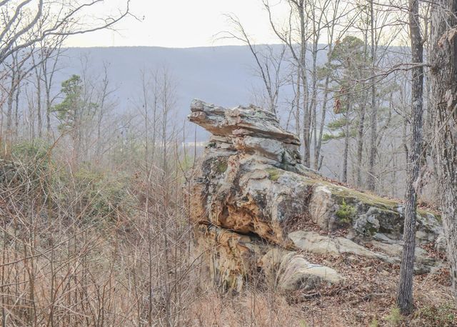 0 River View Court Lot 141, Jasper, TN 37347