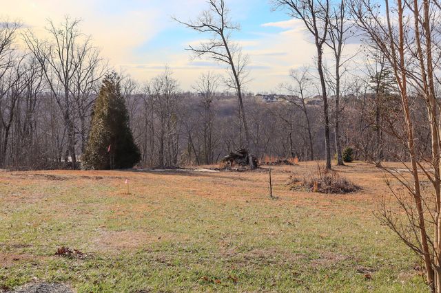 0 River View Court Lot 141, Jasper, TN 37347