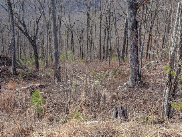 0 River View Court Lot 141, Jasper, TN 37347