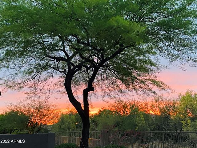 7020 E MIGHTY SAGUARO Way, Scottsdale, AZ 85266