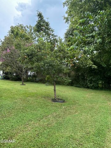 946 E Moody Avenue, Knoxville, TN 37920