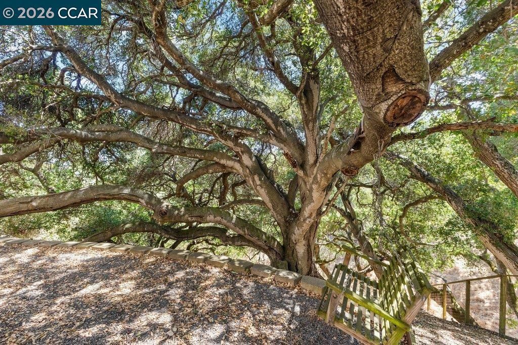 Image 59 of property listing at 11183 Brittany Ln, Dublin, CA 94568