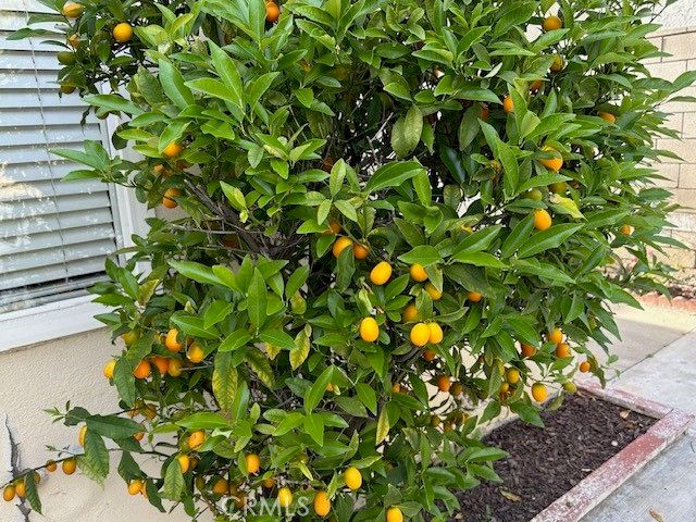 1300 Kempton Avenue, Monterey Park, CA 91755