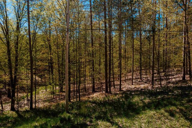 Parcel A Rahe Road, Kingsley, MI 49649