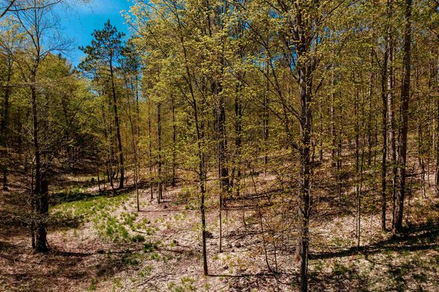 Parcel A Rahe Road, Kingsley, MI 49649