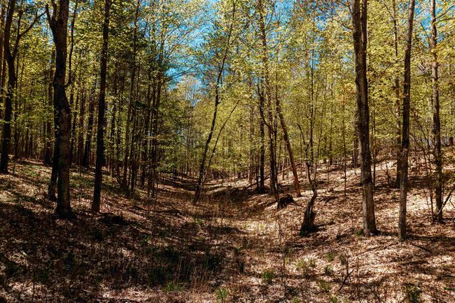 Parcel A Rahe Road, Kingsley, MI 49649