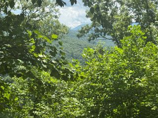 #2 & #7 Ivy Lane, Hiawassee, GA 30546