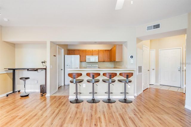 5125 PALM SPRINGS BOULEVARD 8203, Tampa, FL 33647