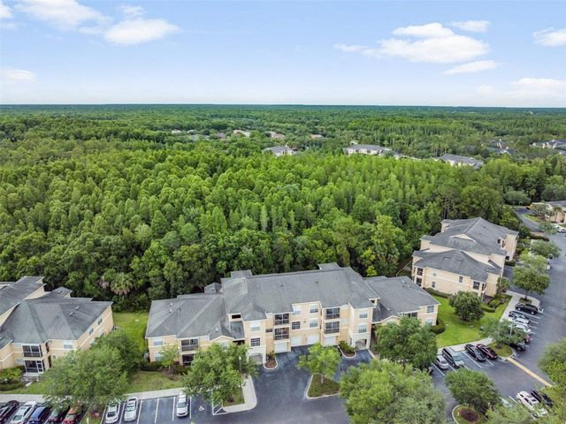 5125 PALM SPRINGS BOULEVARD 8203, Tampa, FL 33647