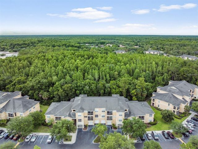 5125 PALM SPRINGS BOULEVARD 8203, Tampa, FL 33647