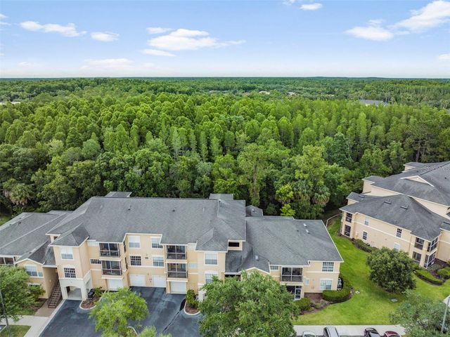 5125 PALM SPRINGS BOULEVARD 8203, Tampa, FL 33647