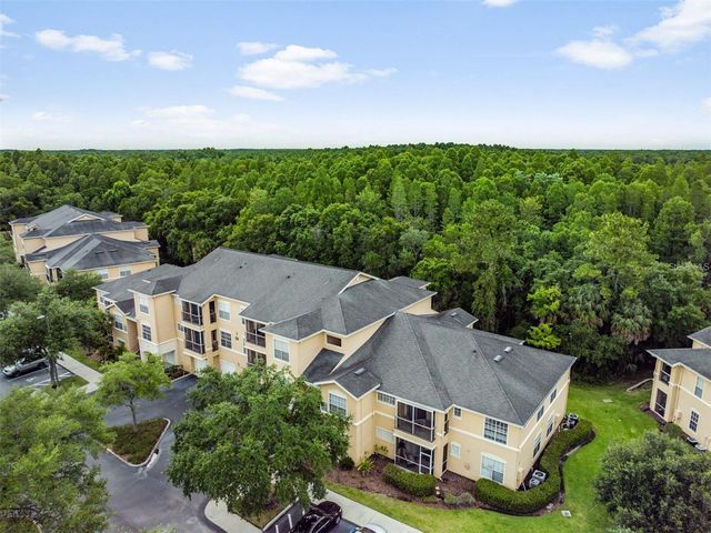 5125 PALM SPRINGS BOULEVARD 8203, Tampa, FL 33647