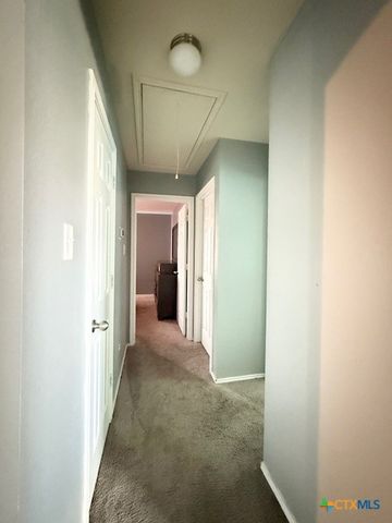 3000 Black Orchid Drive, Killeen, TX 76549