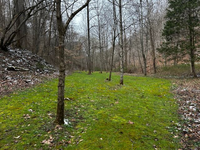 3252 Scotts Branch Road, Vanceburg, KY 41179